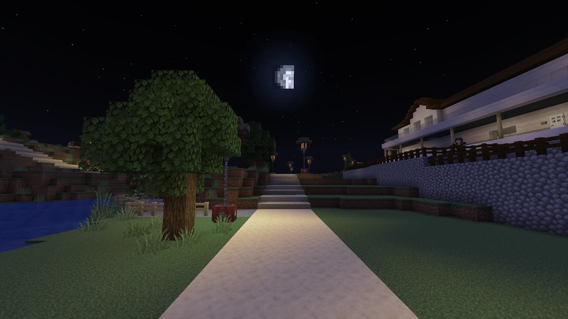 Explore um mundo vivo a qualquer hora